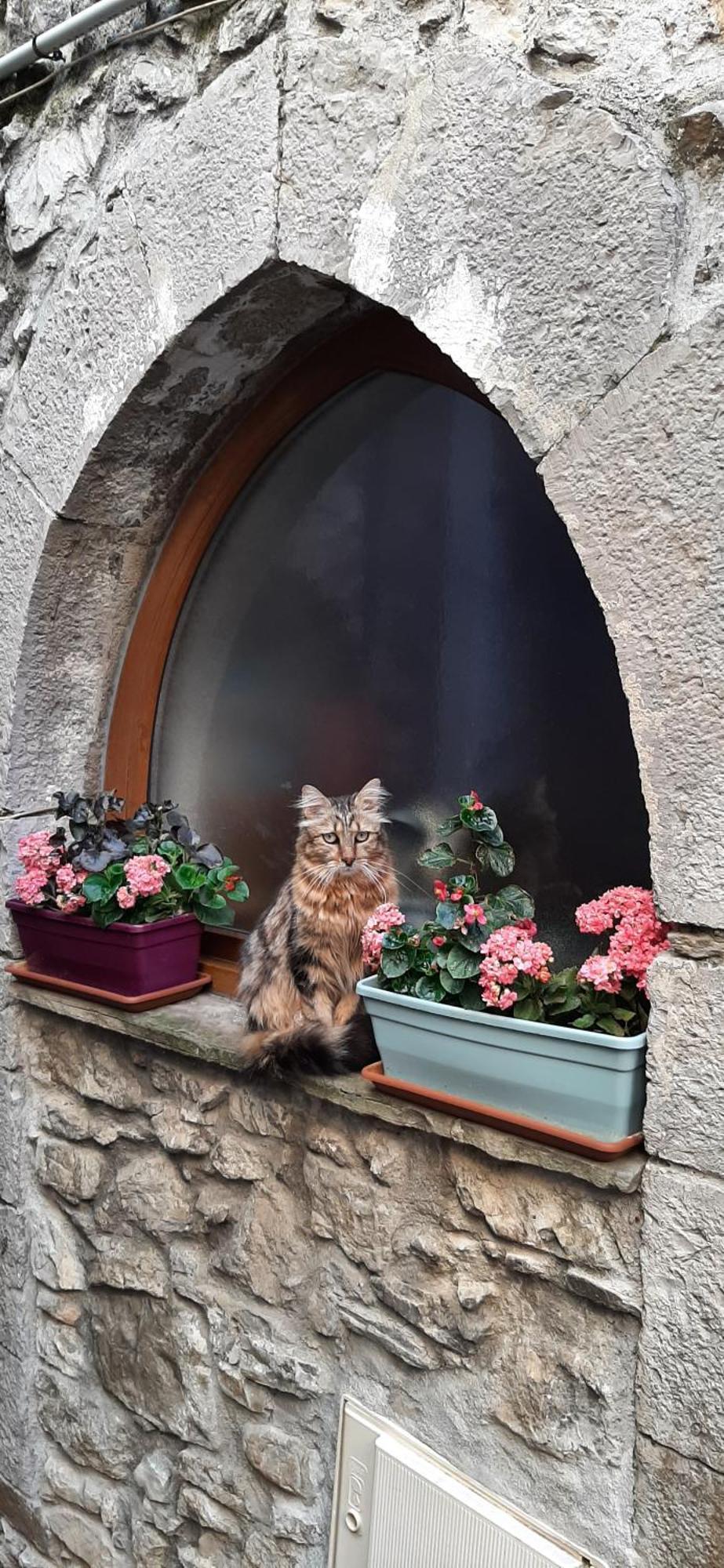 Gite Des Remparts Lucéram Kültér fotó